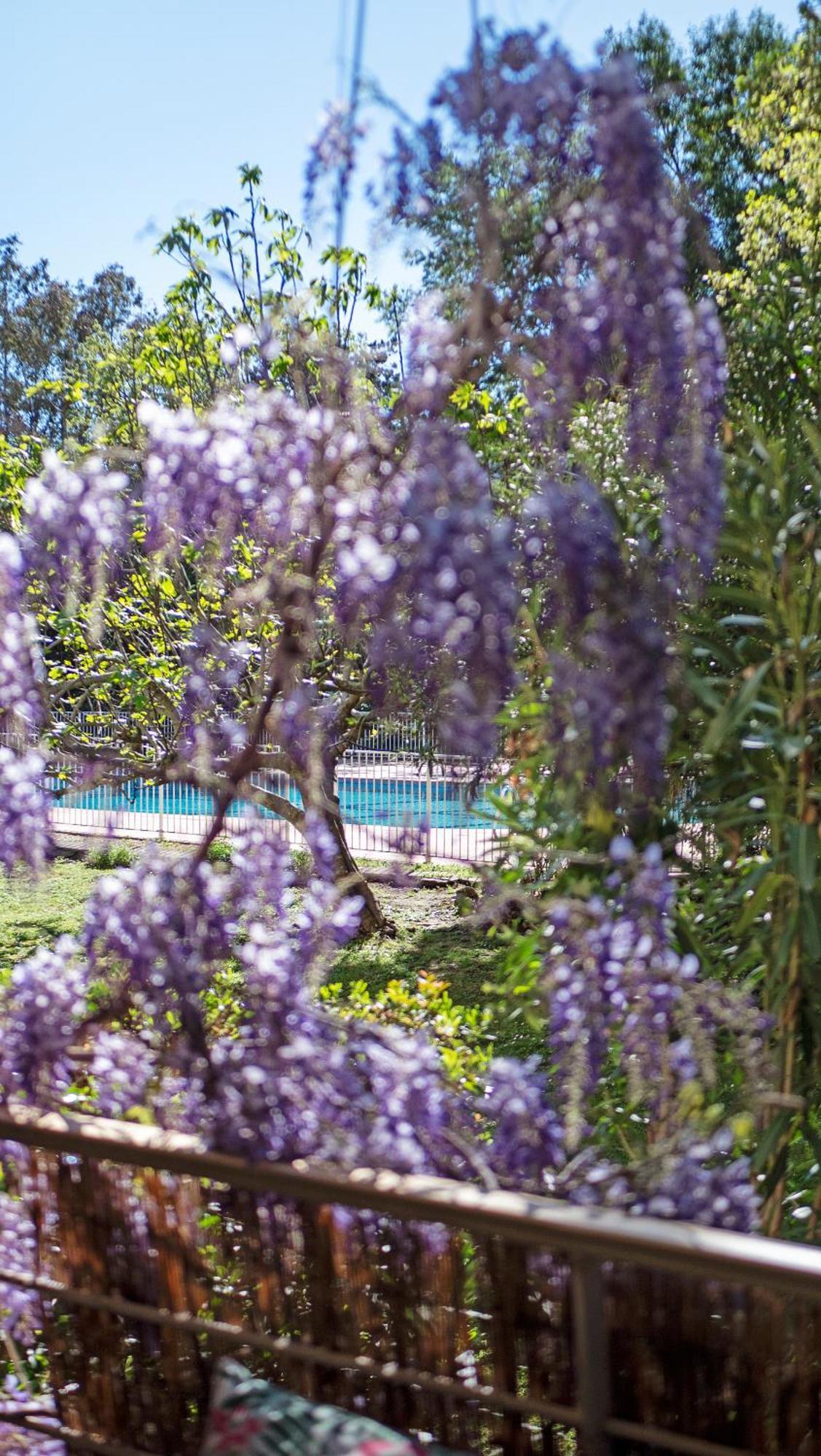 Casa Laura -Parking - Pool Apartment Saint-Tropez Ngoại thất bức ảnh